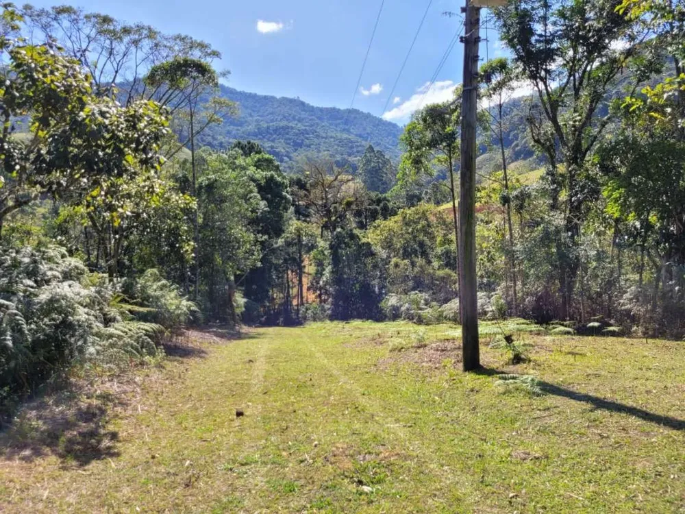 Terreno, 4 hectares - Foto 10