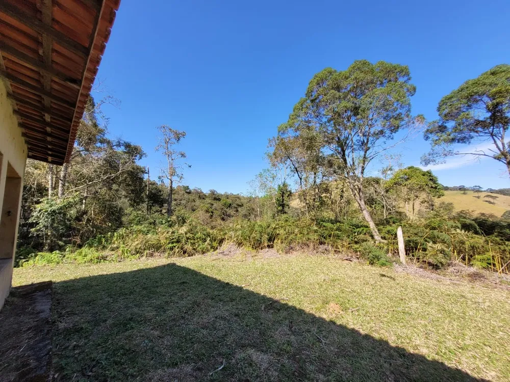 Terreno, 4 hectares - Foto 4