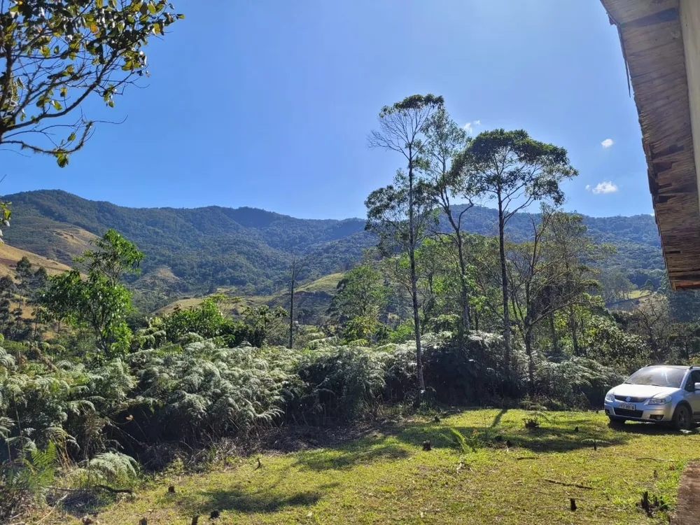 Terreno, 4 hectares - Foto 6