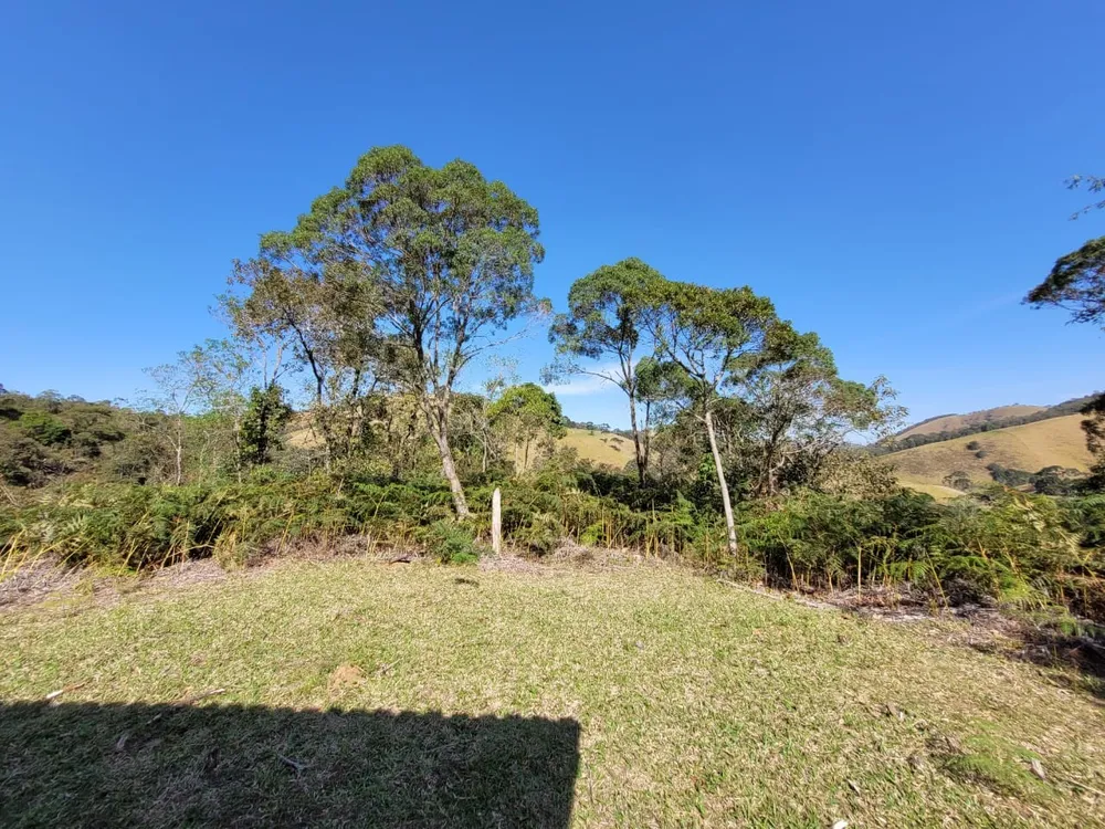 Terreno, 4 hectares - Foto 8