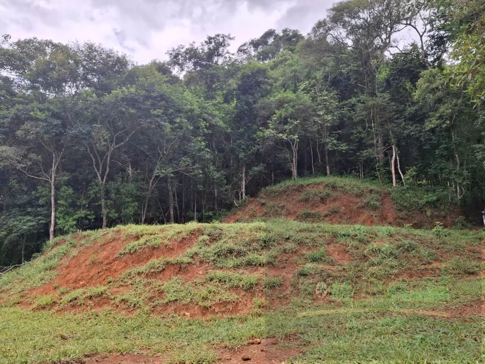 Terreno, 2 hectares - Foto 6