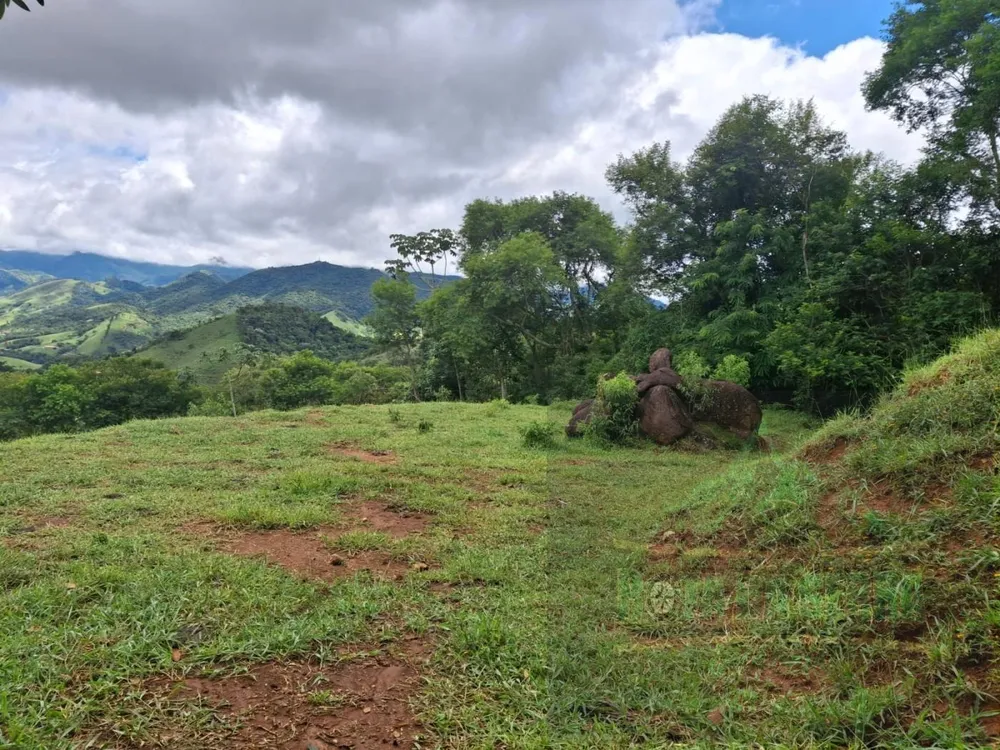 Terreno, 2 hectares - Foto 7