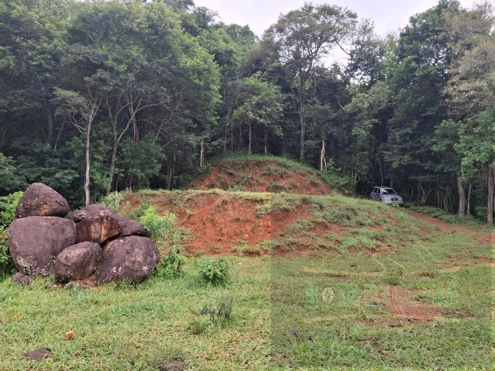 Terreno, 2 hectares - Foto 3