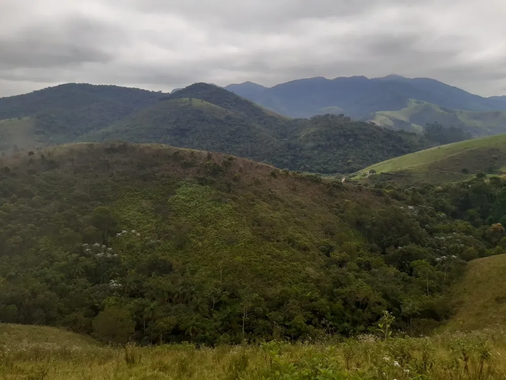 Terreno, 62 hectares - Foto 10
