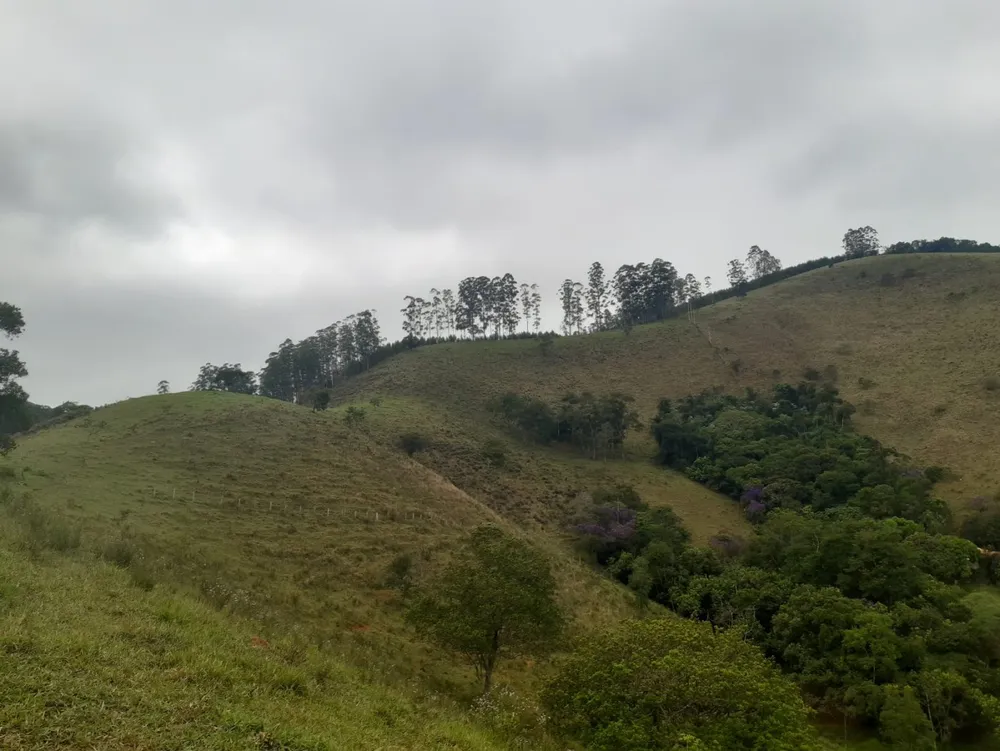 Terreno, 62 hectares - Foto 7
