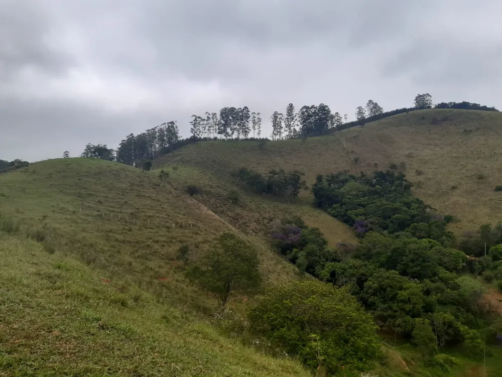 Terreno, 62 hectares - Foto 9
