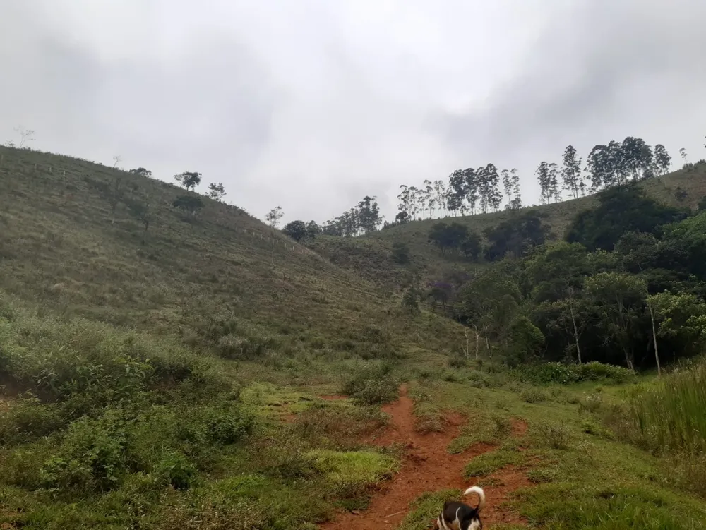 Terreno, 62 hectares - Foto 3