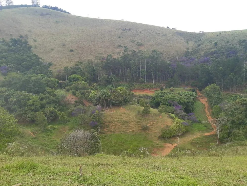 Terreno, 62 hectares - Foto 8