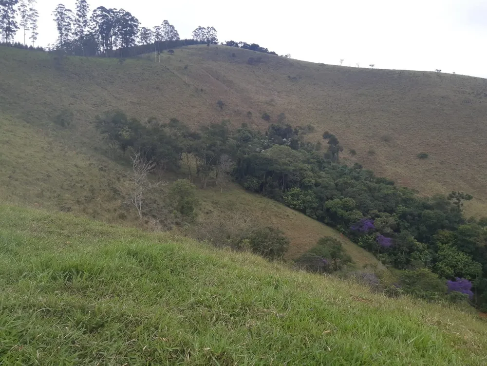Terreno, 62 hectares - Foto 14
