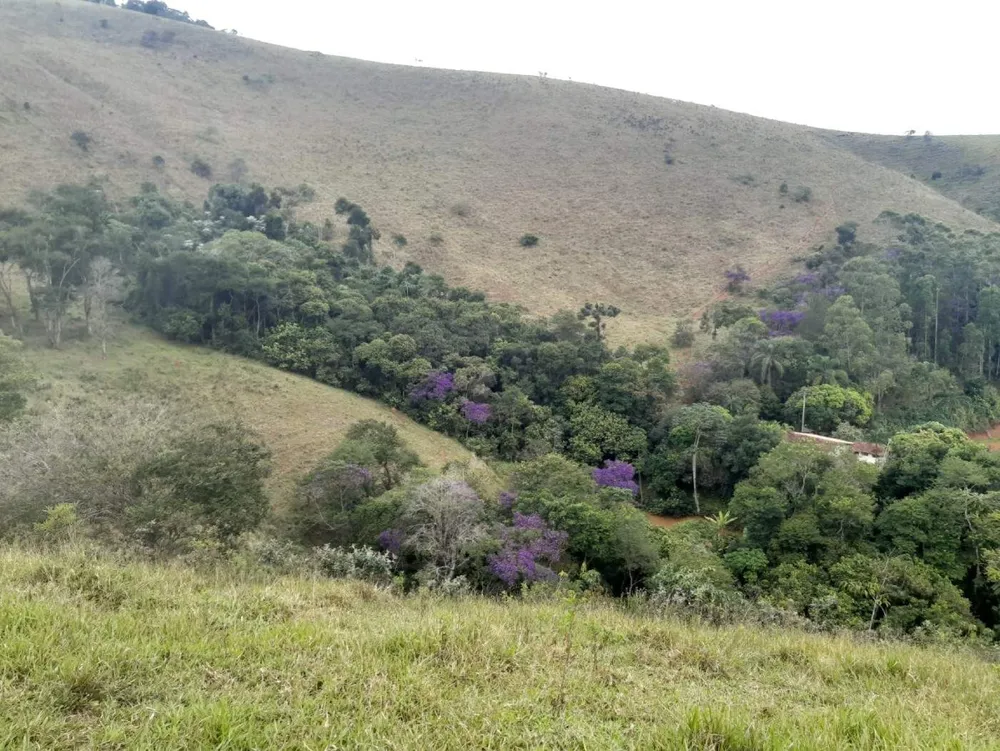 Terreno, 62 hectares - Foto 16