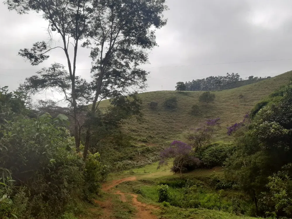 Terreno, 62 hectares - Foto 2