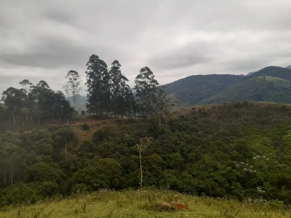 Terreno, 62 hectares - Foto 6