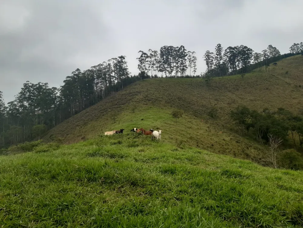 Terreno, 62 hectares - Foto 13