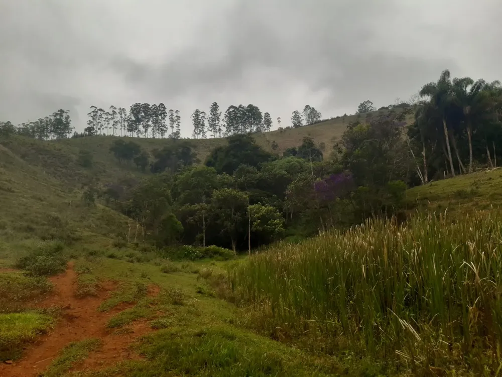 Terreno, 62 hectares - Foto 4