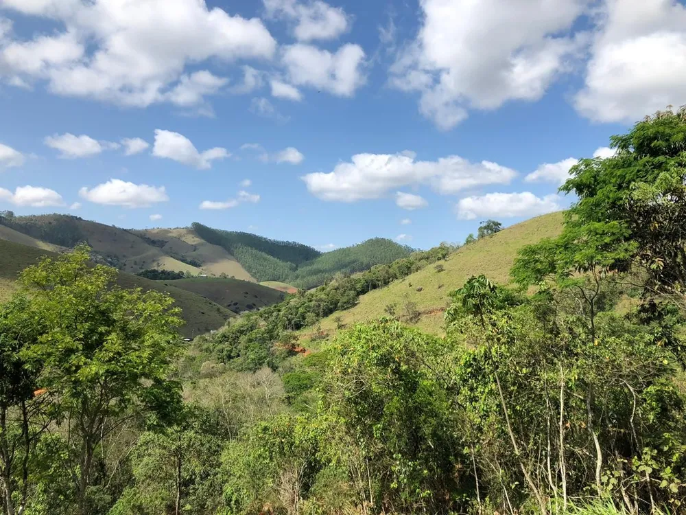 Terreno, 2 hectares - Foto 3
