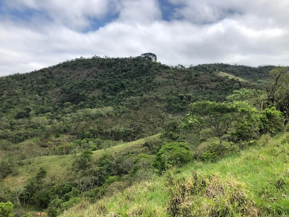 Terreno, 2 hectares - Foto 15