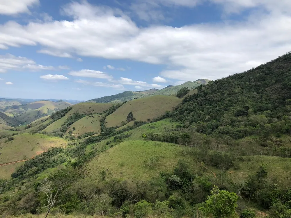 Terreno, 2 hectares - Foto 8