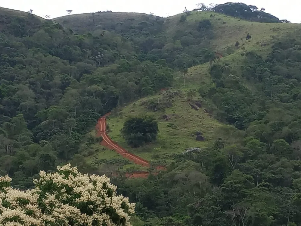 Terreno, 2 hectares - Foto 9