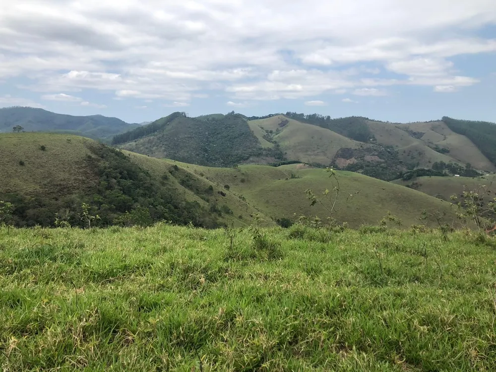 Terreno, 2 hectares - Foto 6