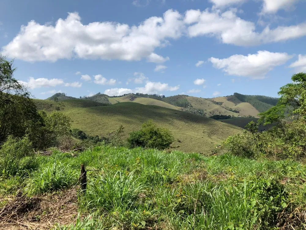 Terreno, 2 hectares - Foto 14