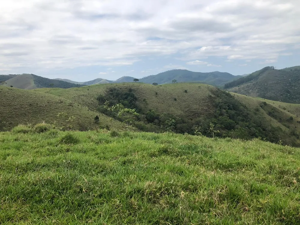 Terreno, 2 hectares - Foto 4