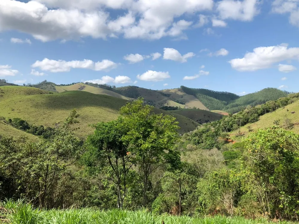 Terreno, 2 hectares - Foto 7
