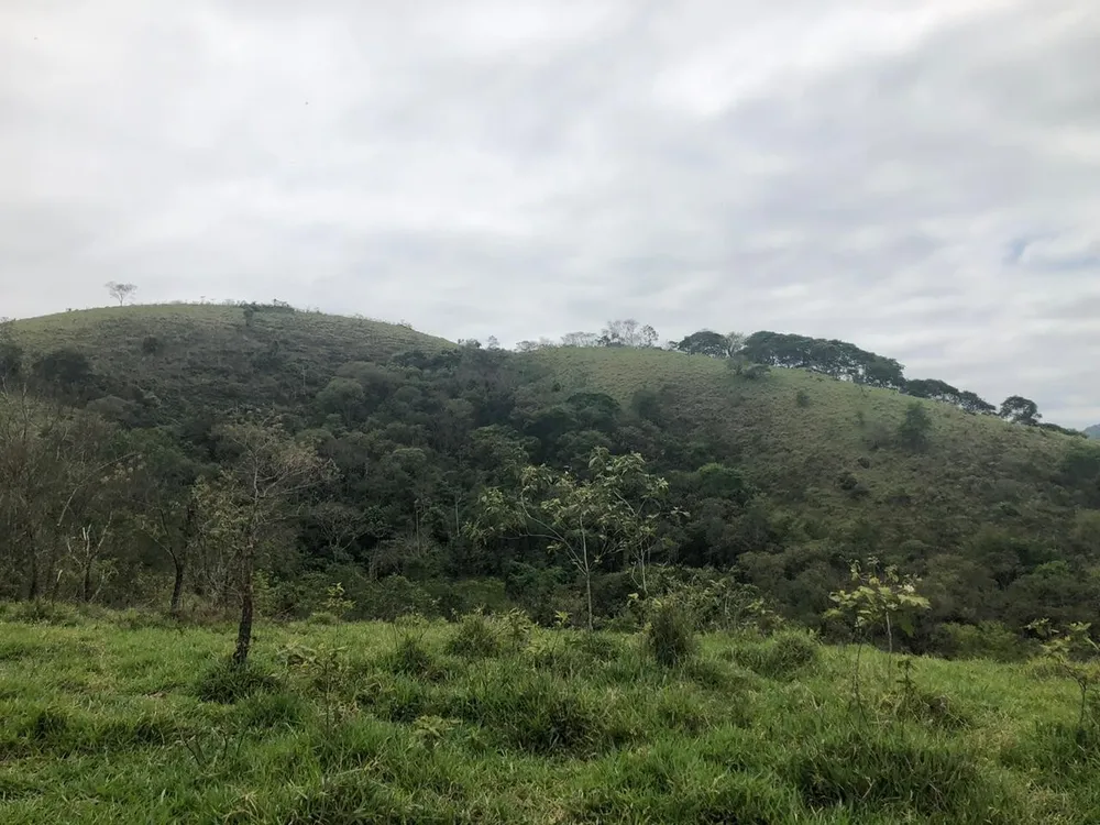 Terreno, 2 hectares - Foto 12