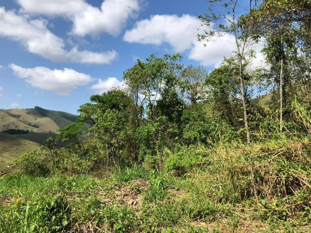 Terreno, 2 hectares - Foto 10