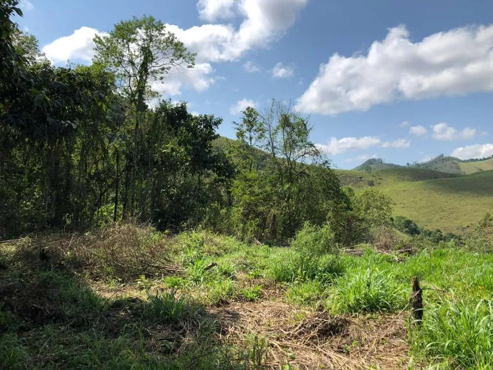 Terreno, 2 hectares - Foto 13