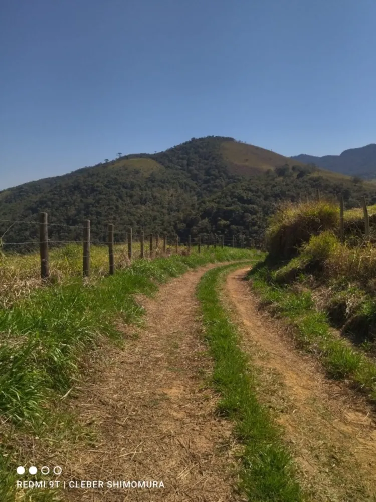 Terreno, 2 hectares - Foto 13