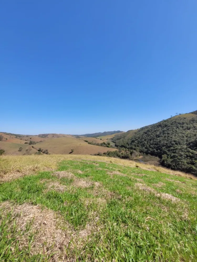 Terreno, 2 hectares - Foto 9