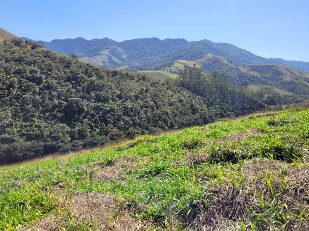 Terreno, 2 hectares - Foto 3