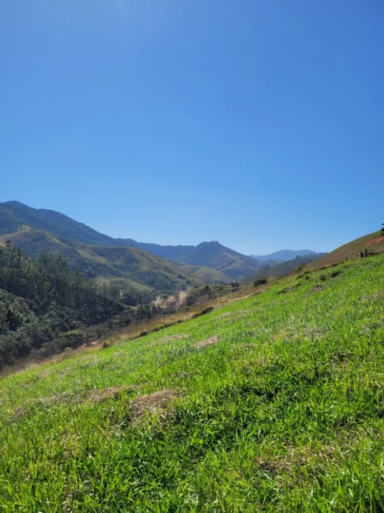 Terreno, 2 hectares - Foto 8
