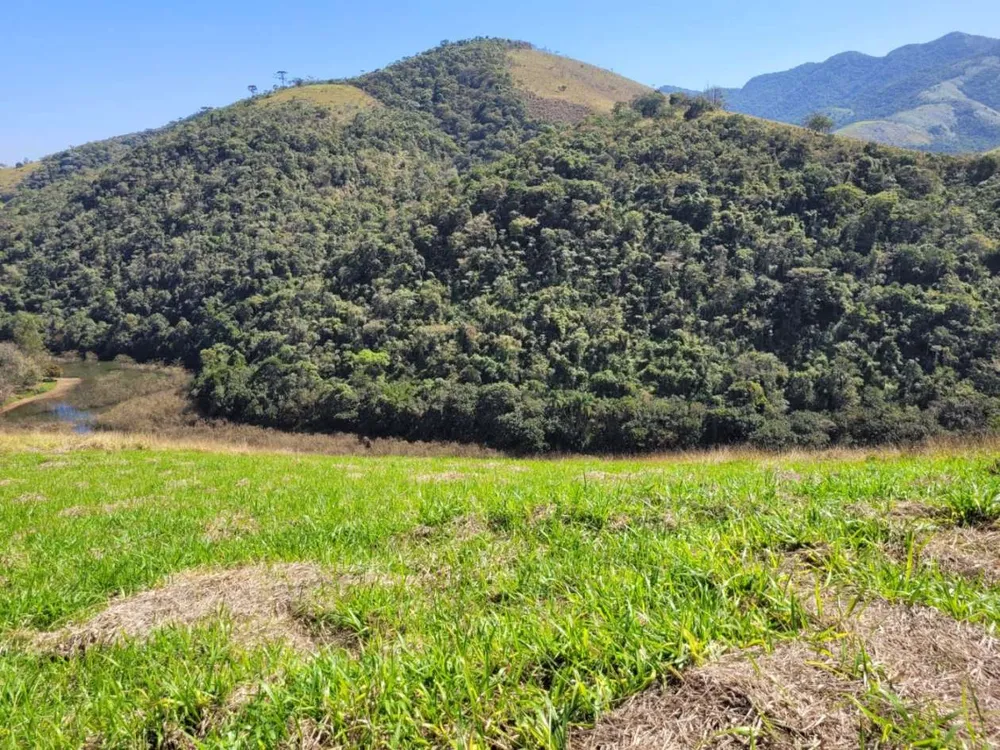 Terreno, 2 hectares - Foto 4