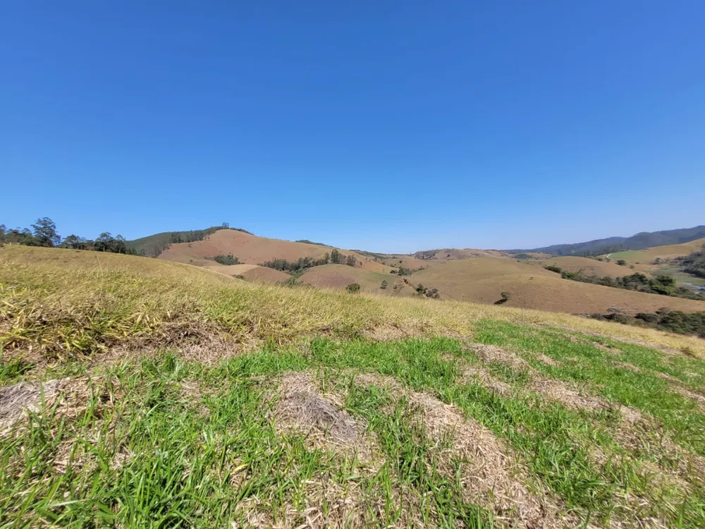 Terreno, 2 hectares - Foto 7