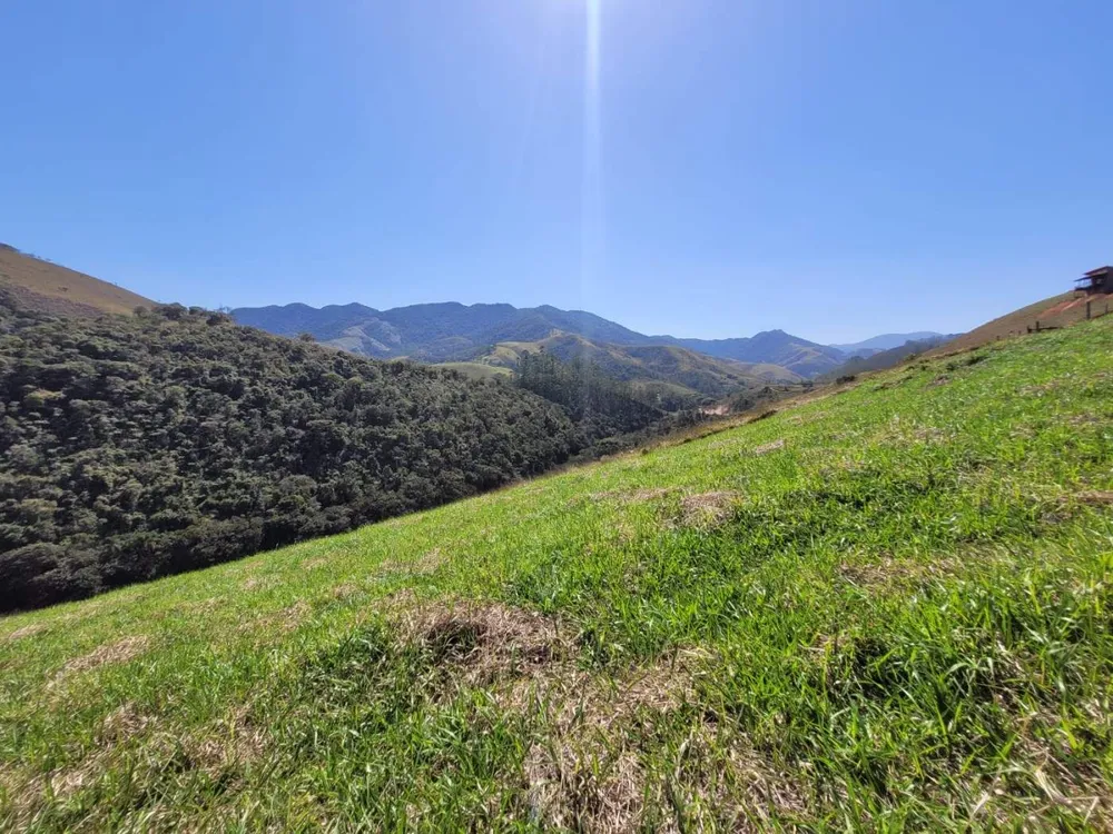 Terreno, 2 hectares - Foto 6