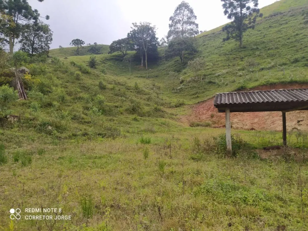 Terreno, 2 hectares - Foto 13