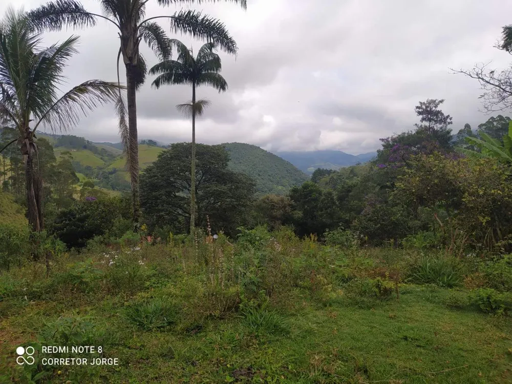 Terreno, 2 hectares - Foto 8