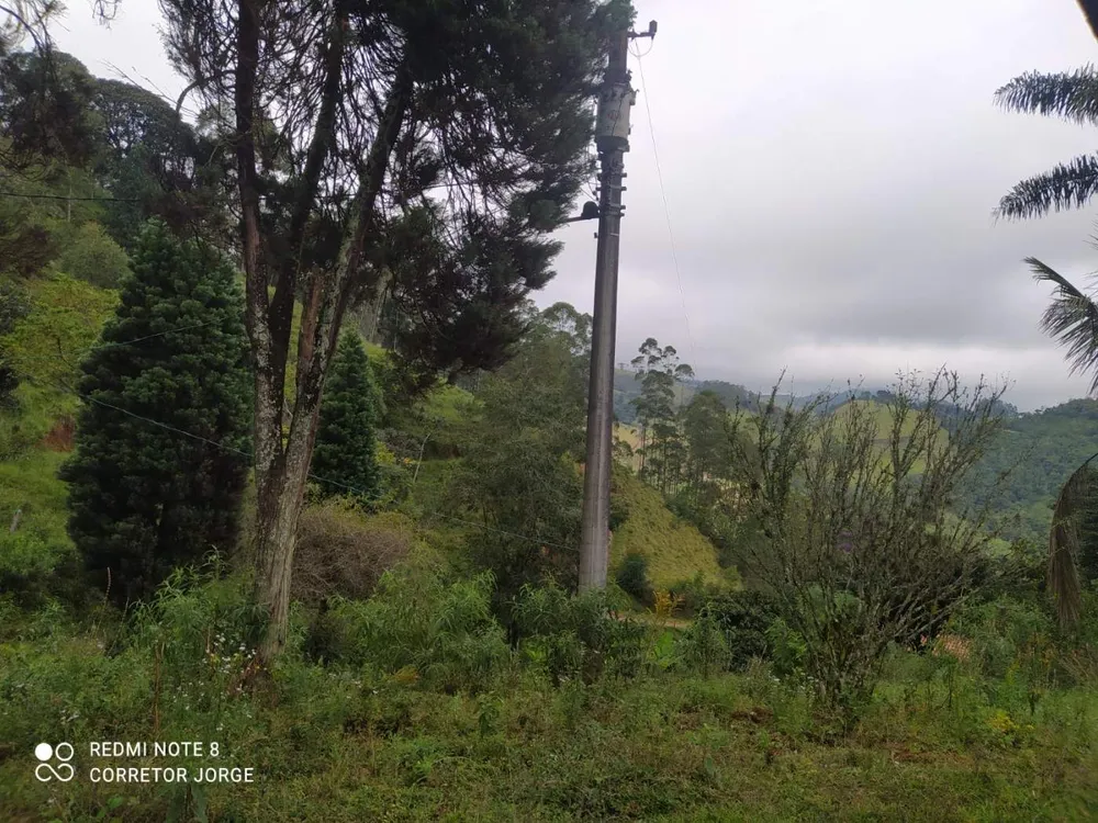 Terreno, 2 hectares - Foto 4