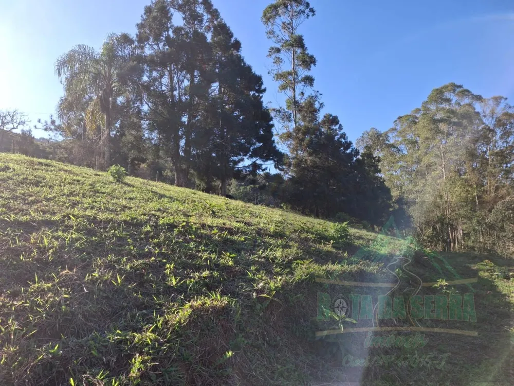 Terreno, 2 hectares - Foto 7