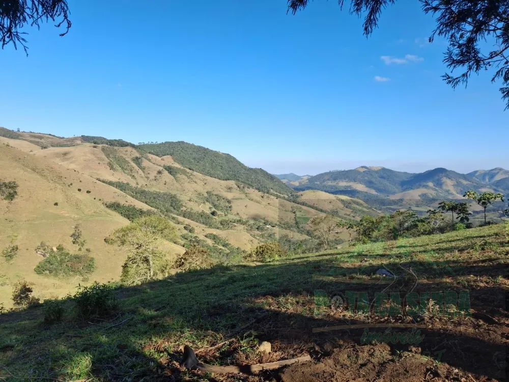Terreno, 2 hectares - Foto 8