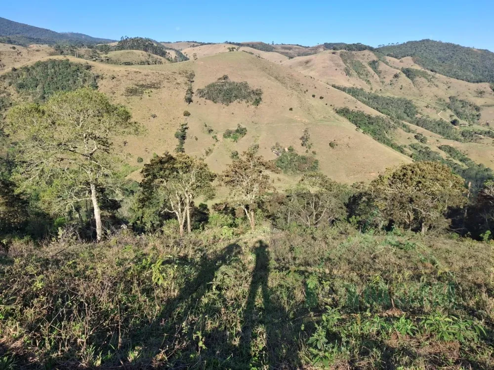Terreno, 2 hectares - Foto 3
