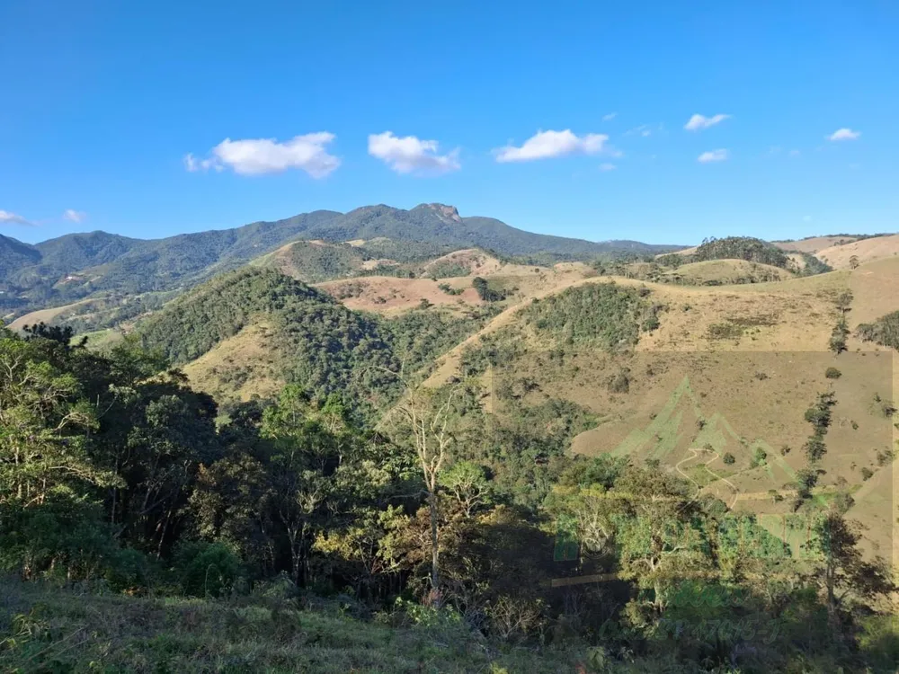 Terreno, 2 hectares - Foto 4
