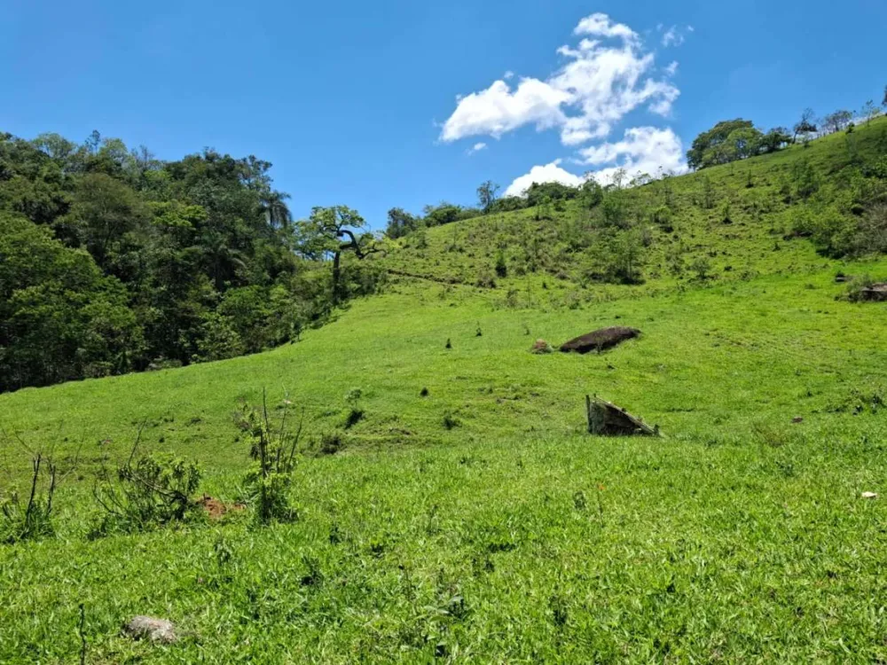 Terreno, 104 hectares - Foto 6