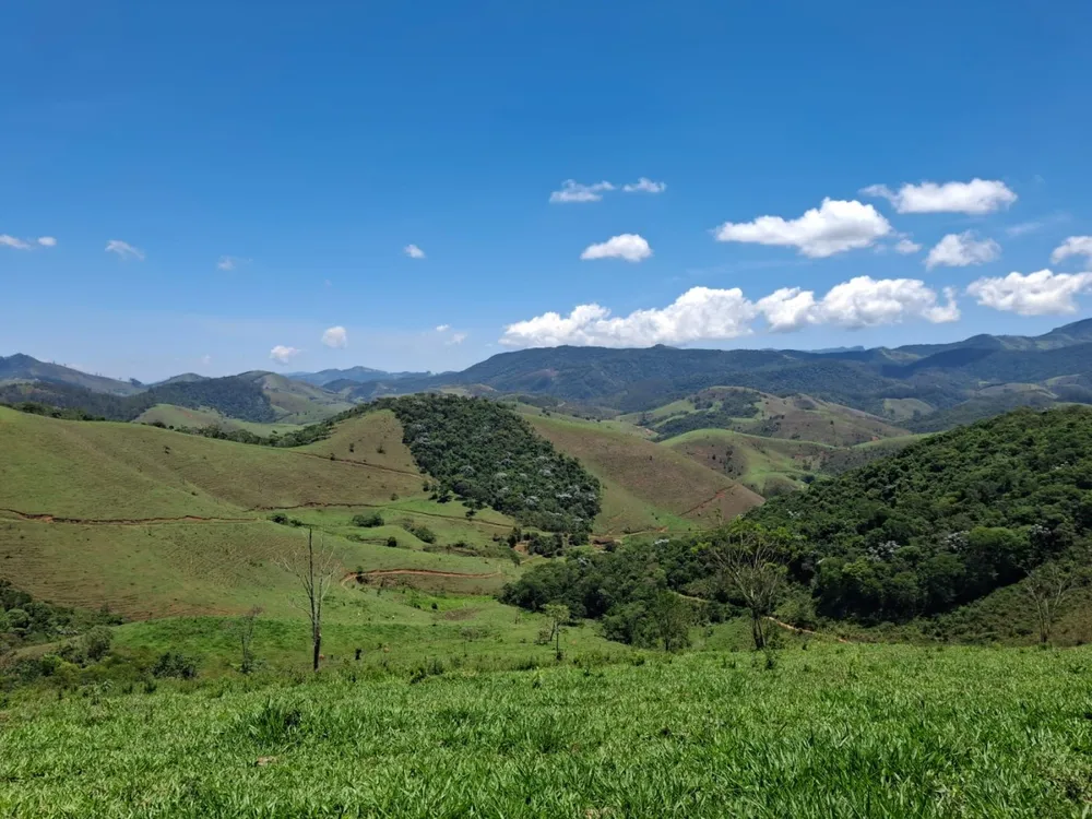 Terreno, 104 hectares - Foto 7