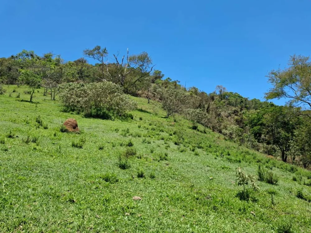Terreno, 104 hectares - Foto 3