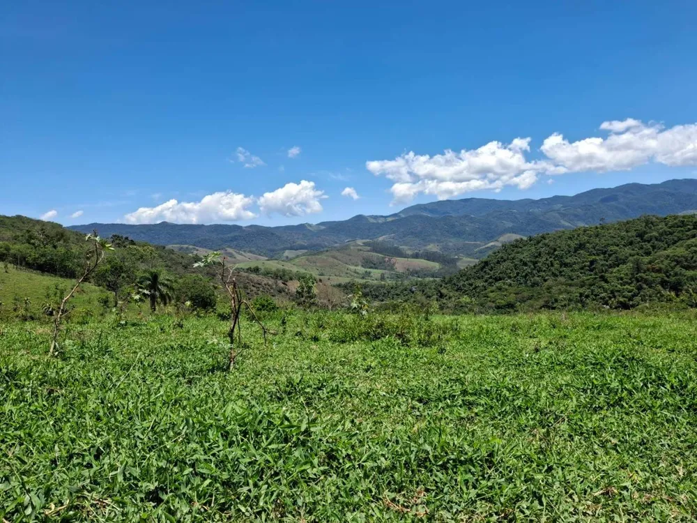 Terreno, 104 hectares - Foto 13