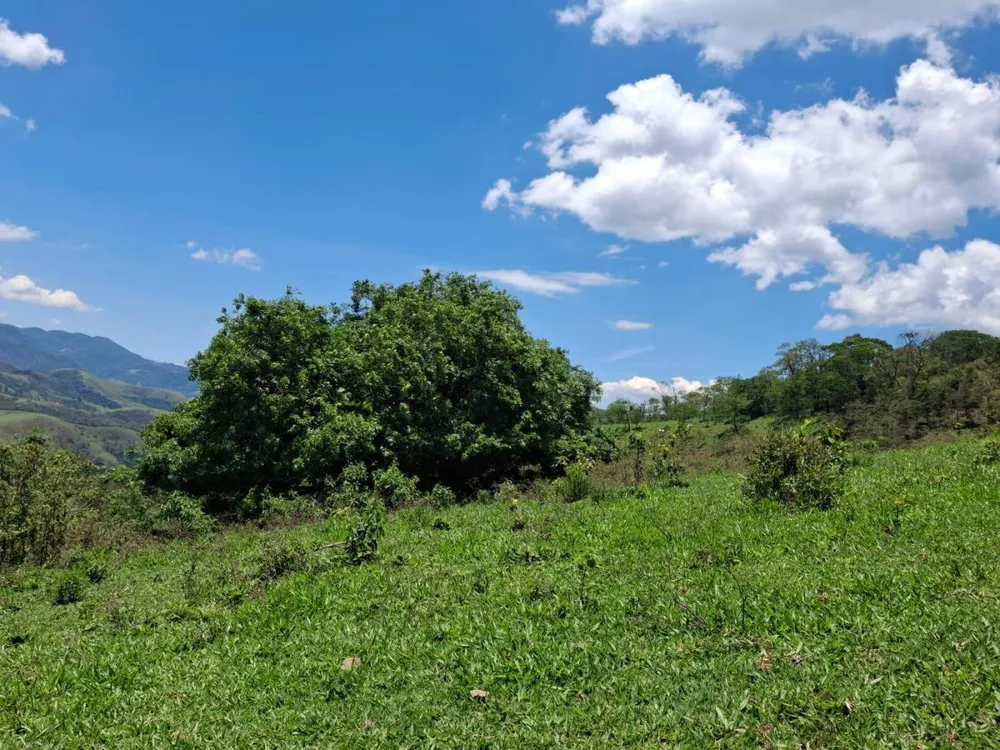 Terreno, 104 hectares - Foto 8