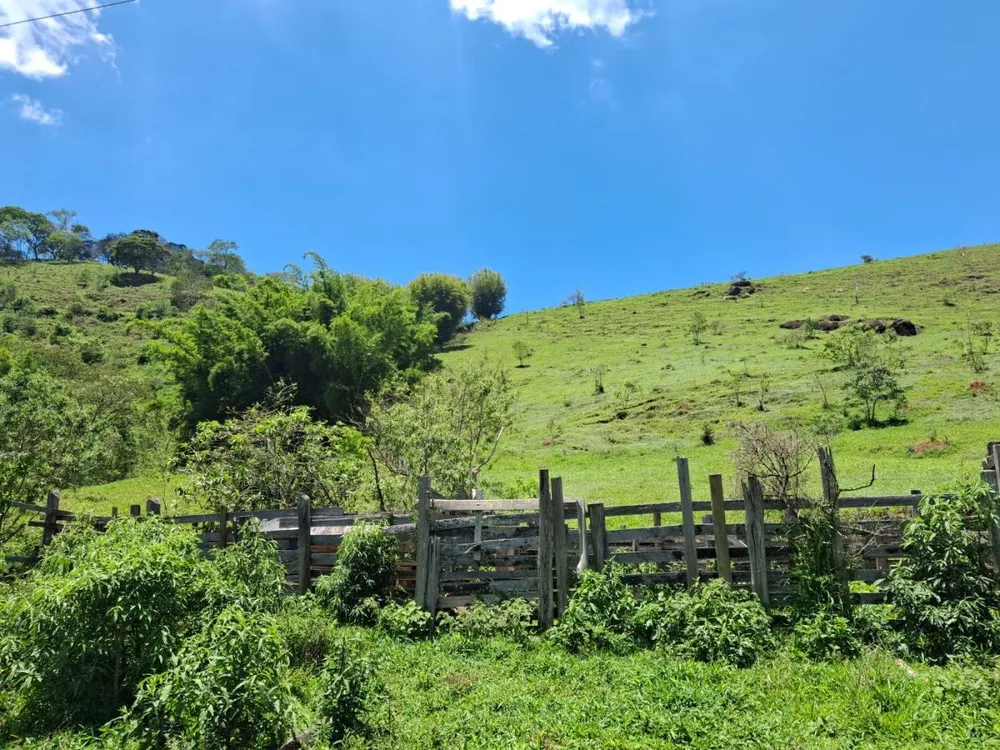 Terreno, 104 hectares - Foto 12