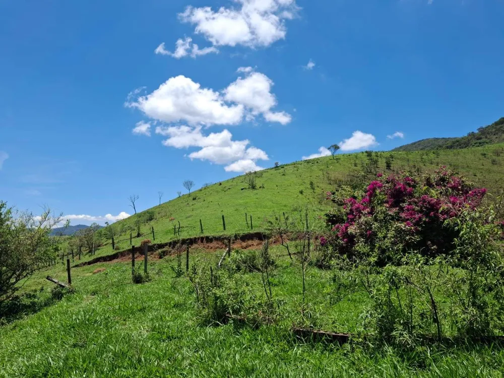 Terreno, 104 hectares - Foto 8